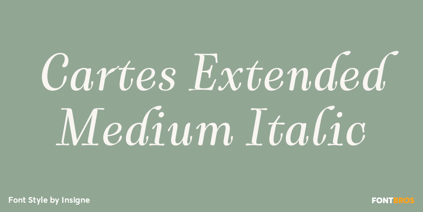 Cartes Extended Medium Italic Font Poster #1