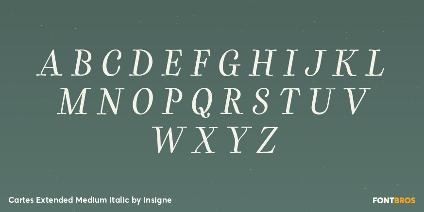 Cartes Extended Medium Italic Font Poster #2