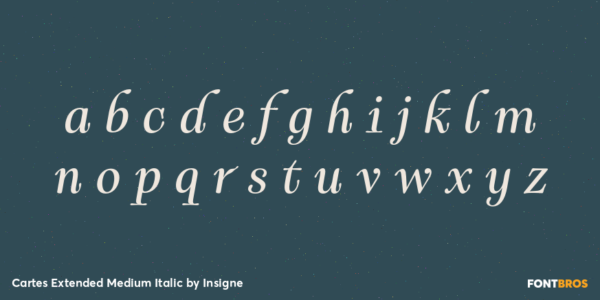 Cartes Extended Medium Italic Font Poster #3