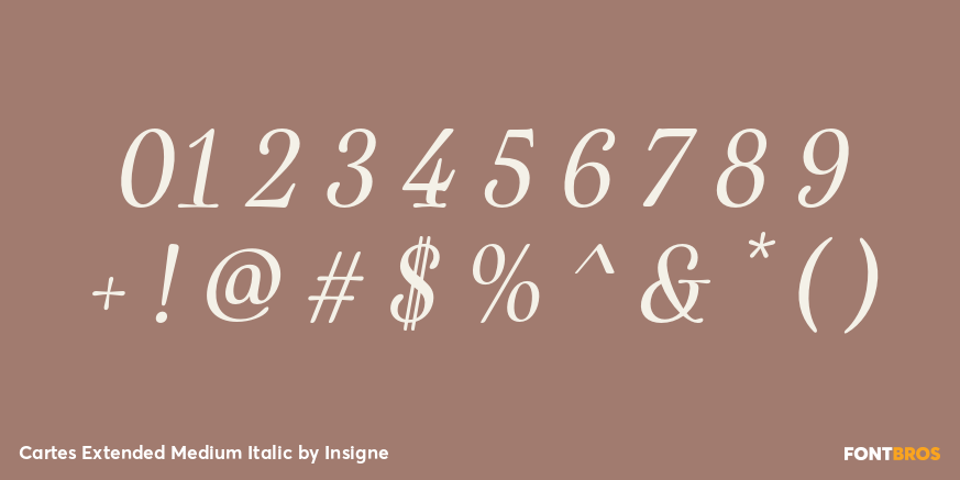 Cartes Extended Medium Italic Font Poster #4