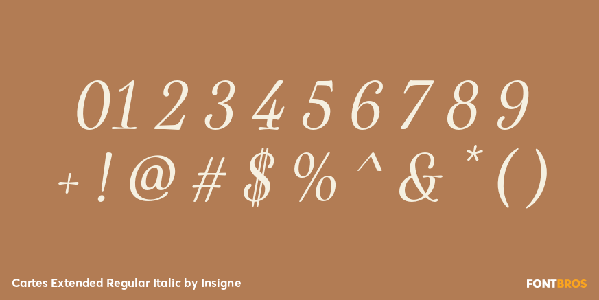 Cartes Extended Regular Italic Font Poster #1