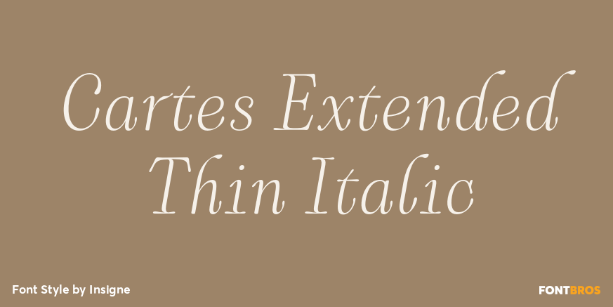 Cartes Extended Thin Italic Font Poster #1