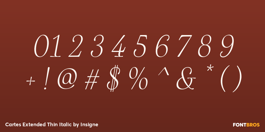 Cartes Extended Thin Italic Font Poster #4