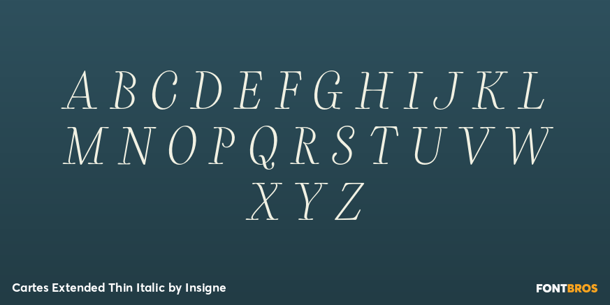 Cartes Extended Thin Italic Font Poster #2