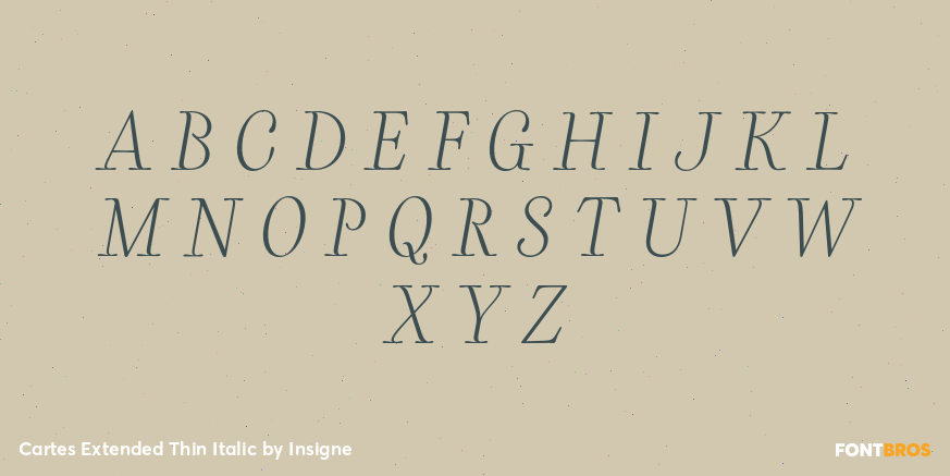 Cartes Extended Thin Italic Font Poster #2