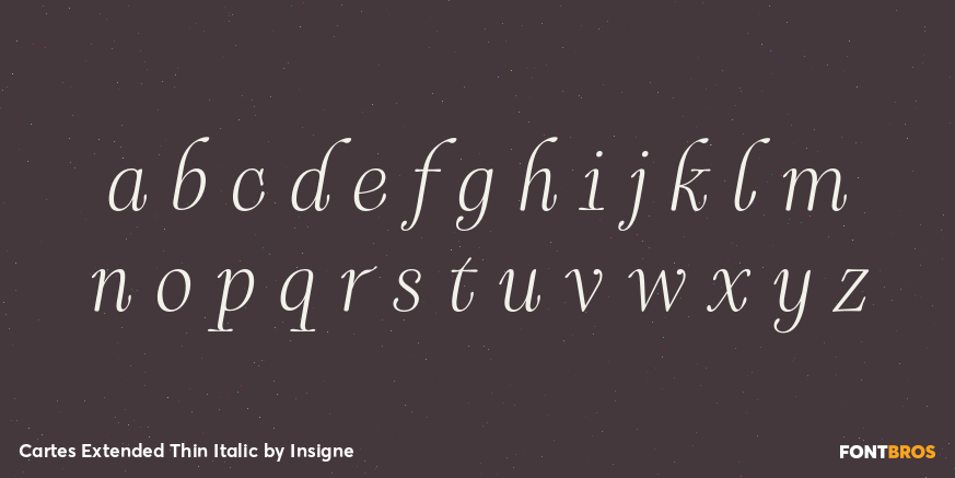 Cartes Extended Thin Italic Font Poster #3