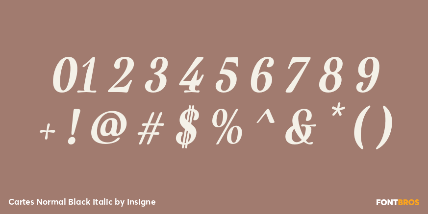 Cartes Normal Black Italic Font Poster #1