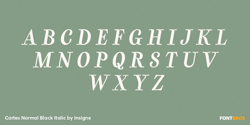 Cartes Normal Black Italic Font Poster #1