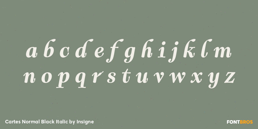 Cartes Normal Black Italic Font Poster #1