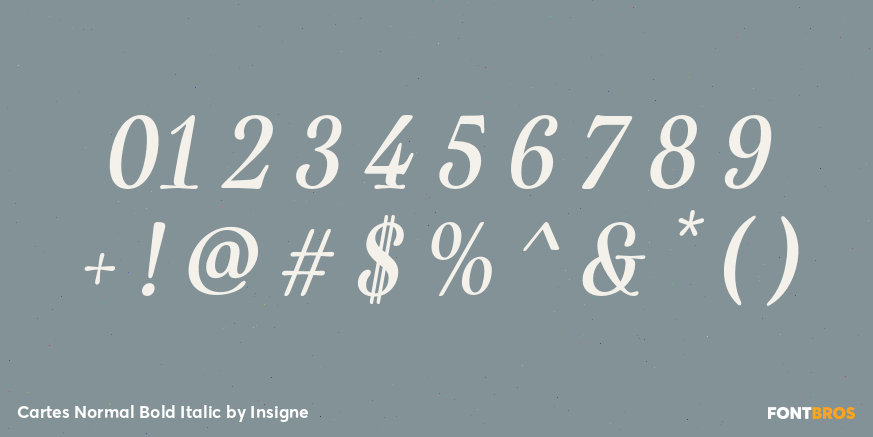 Cartes Normal Bold Italic Font Poster #4