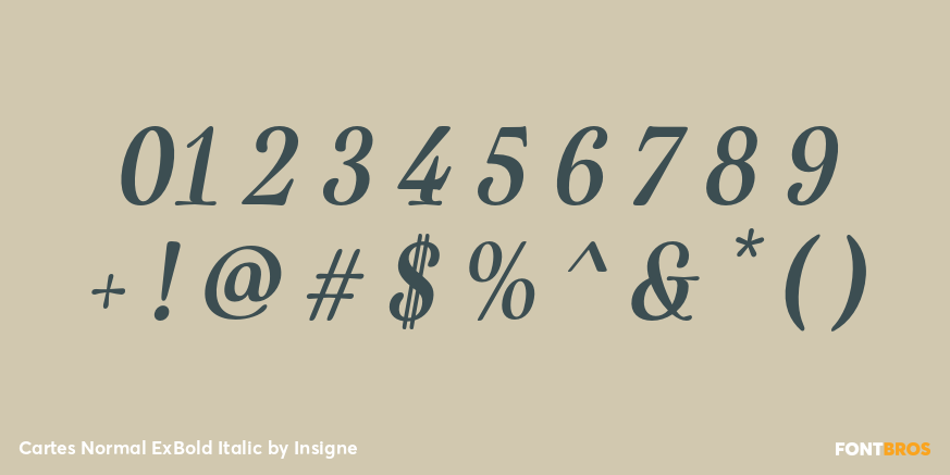 Cartes Normal ExBold Italic Font Poster #1