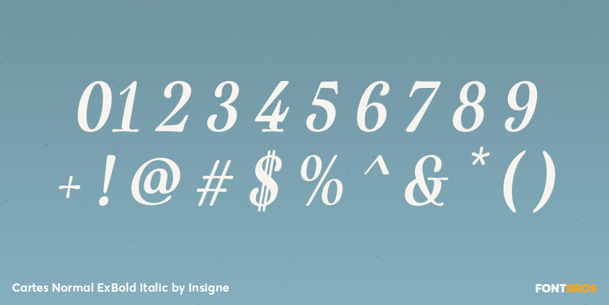 Cartes Normal ExBold Italic Font Poster #4