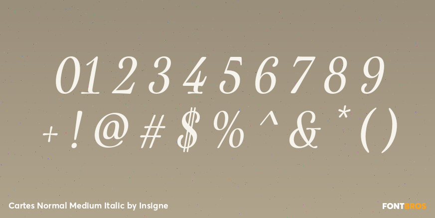 Cartes Normal Medium Italic Font Poster #1