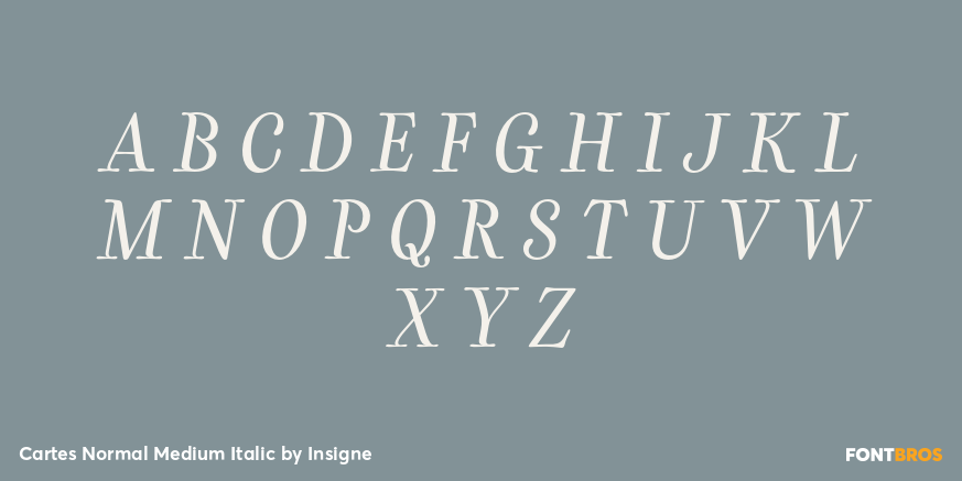 Cartes Normal Medium Italic Font Poster #1