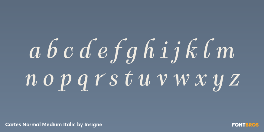 Cartes Normal Medium Italic Font Poster #1