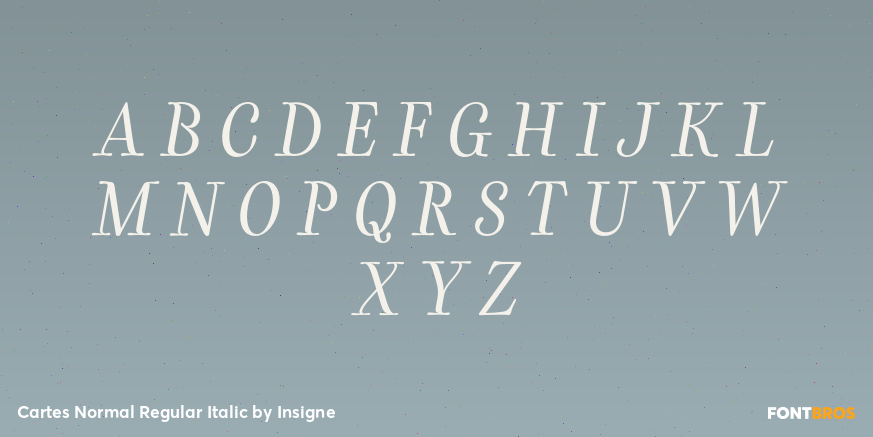 Cartes Normal Regular Italic Font Poster #2