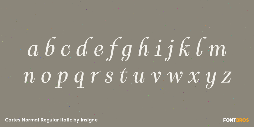 Cartes Normal Regular Italic Font Poster #3