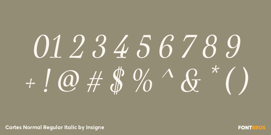 Cartes Normal Regular Italic Font Poster #4