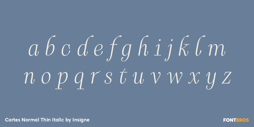 Cartes Normal Thin Italic Font Poster #3