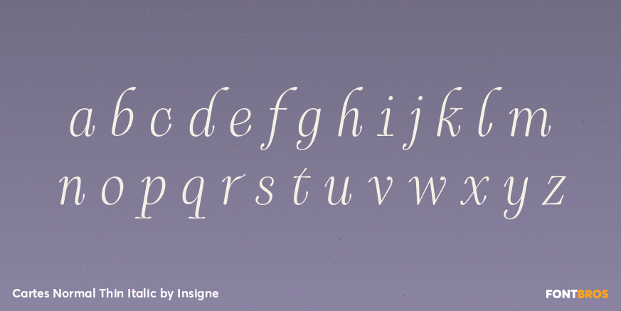 Cartes Normal Thin Italic Font Poster #1