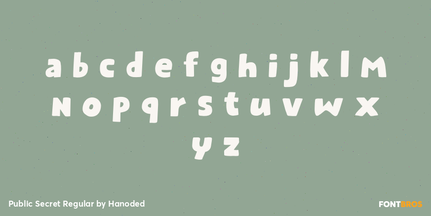 Public Secret Regular Font Poster #3