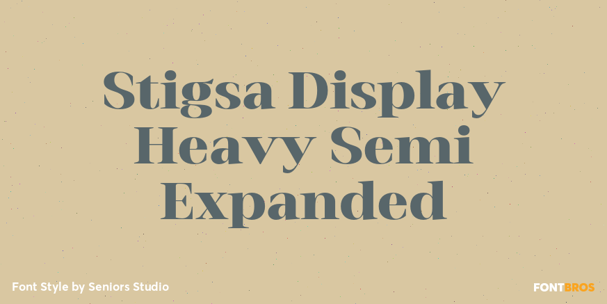 Stigsa Display Heavy Semi Expanded Font Poster #1