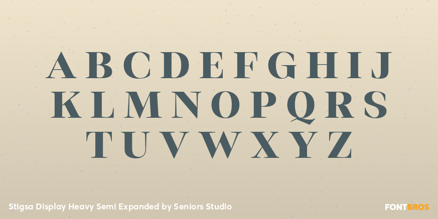 Stigsa Display Heavy Semi Expanded Font Poster #2