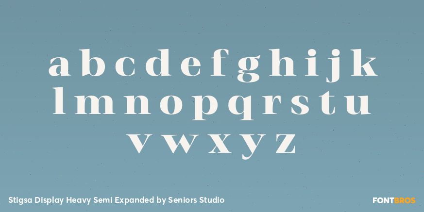 Stigsa Display Heavy Semi Expanded Font Poster #3