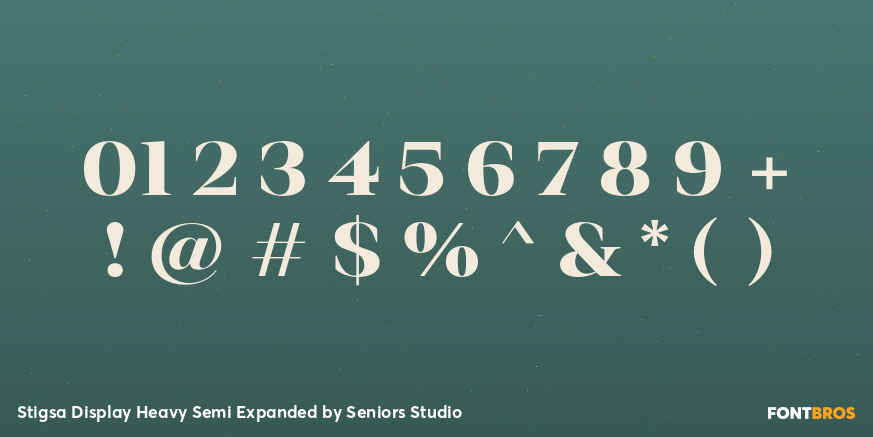 Stigsa Display Heavy Semi Expanded Font Poster #4