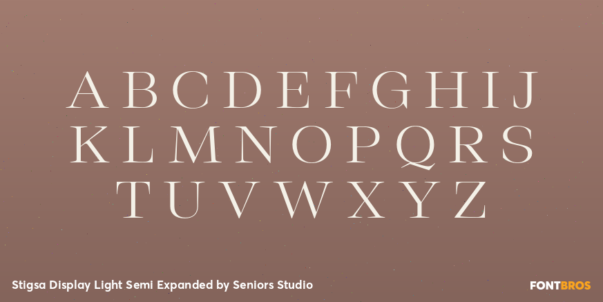 Stigsa Display Light Semi Expanded Font Poster #2