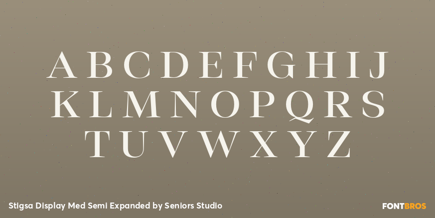 Stigsa Display Med Semi Expanded Font Poster #2