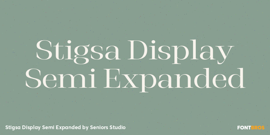 Stigsa Display Semi Expanded Font Poster #1