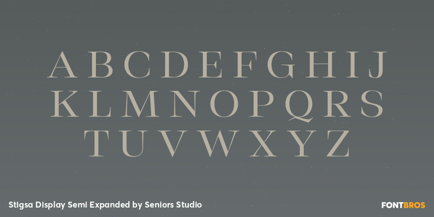 Stigsa Display Semi Expanded Font Poster #2