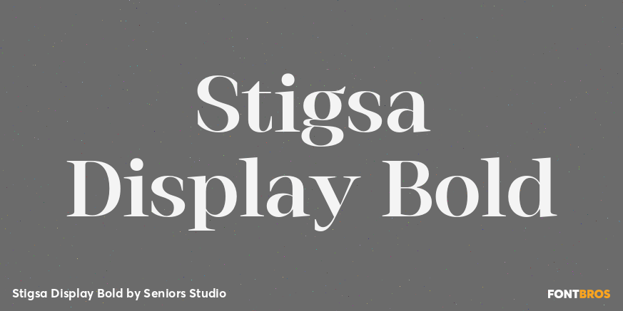 Stigsa Display Bold Font Poster #1