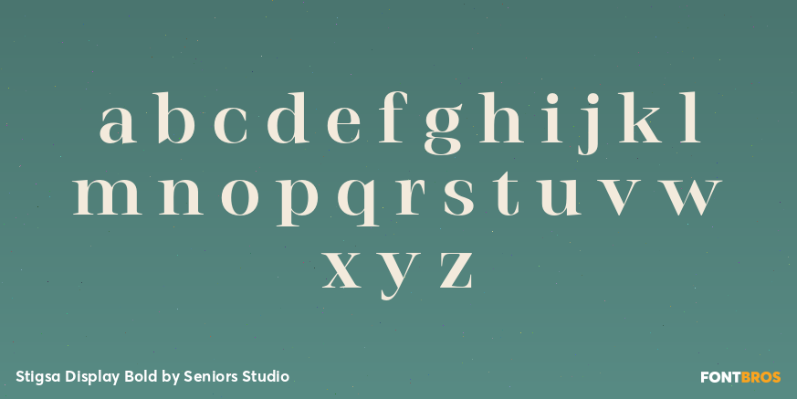 Stigsa Display Bold Font Poster #3