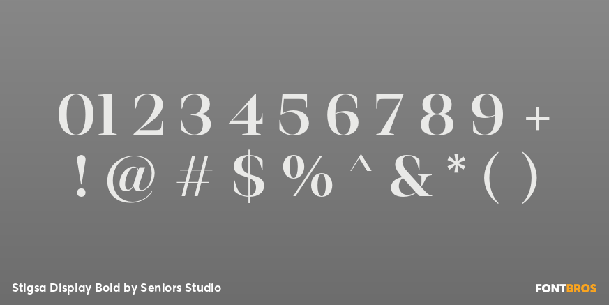 Stigsa Display Bold Font Poster #4