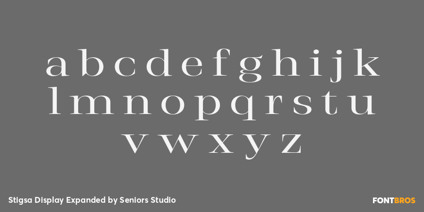 Stigsa Display Expanded Font Poster #3
