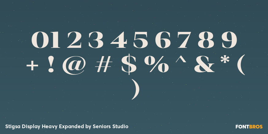 Stigsa Display Heavy Expanded Font Poster #4