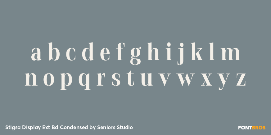 Stigsa Display Ext Bd Condensed Font Poster #3