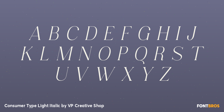 Consumer Type Light Italic Font Poster #2