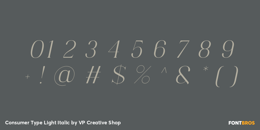 Consumer Type Light Italic Font Poster #4