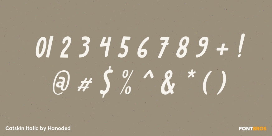 Catskin Italic Font Poster #4