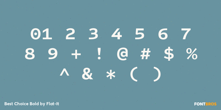 Best Choice Bold Font Poster #4