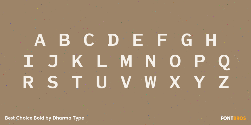 Best Choice Bold Font Poster #2