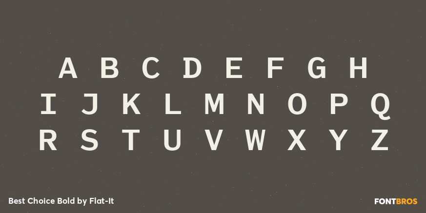 Best Choice Bold Font Poster #2