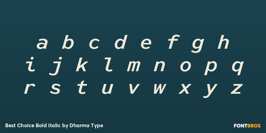 Best Choice Bold Italic Font Poster #3