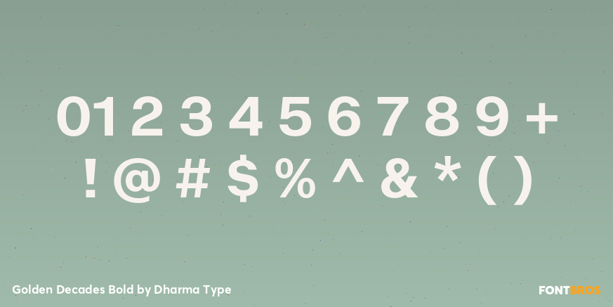 Golden Decades Bold Font Poster #4