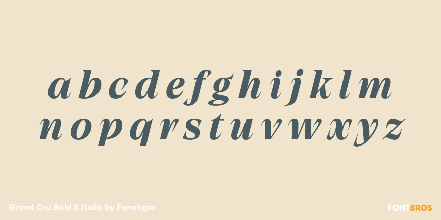 Grand Cru Bold S Italic Font Poster #3