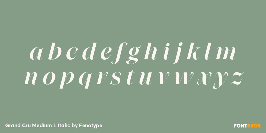Grand Cru Medium L Italic Font Poster #3