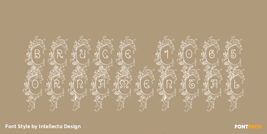 Bruce 1065 Ornamental Poster